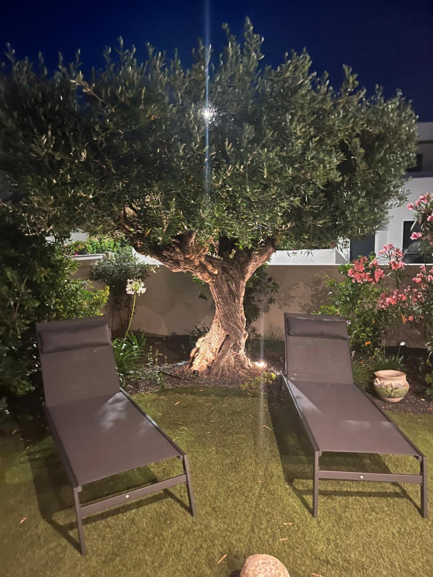 Villeneuve-de-la-Raho Villa Dolce Vida Proche Golf, Lac, Plage Et Collioure מראה חיצוני תמונה